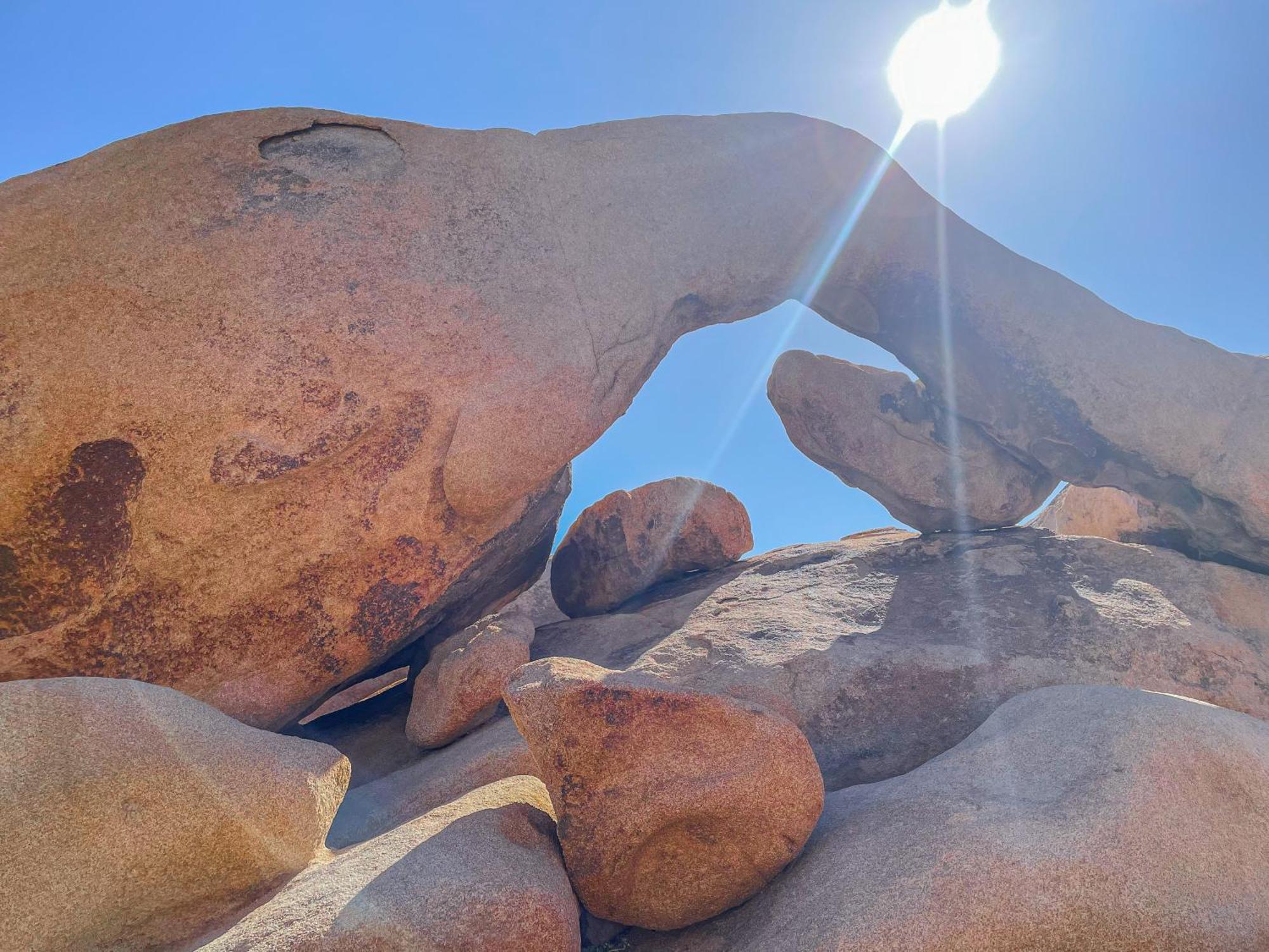 New Property! The Cactus At Joshua Tree National Park - Pool, Hot Tub, Outdoor Shower, Fire Pit *