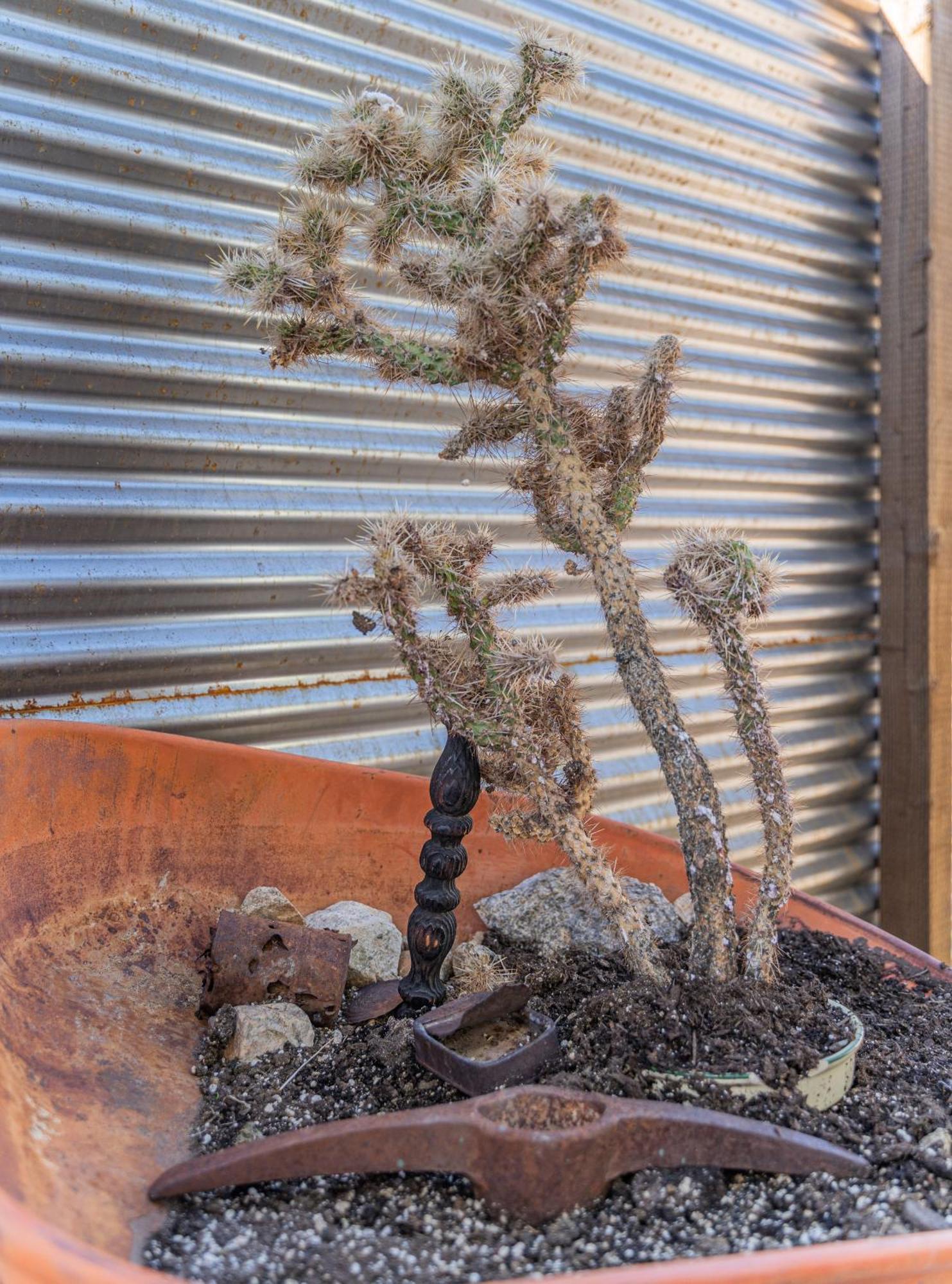 New Property! The Cactus At Joshua Tree National Park - Pool, Hot Tub, Outdoor Shower, Fire Pit